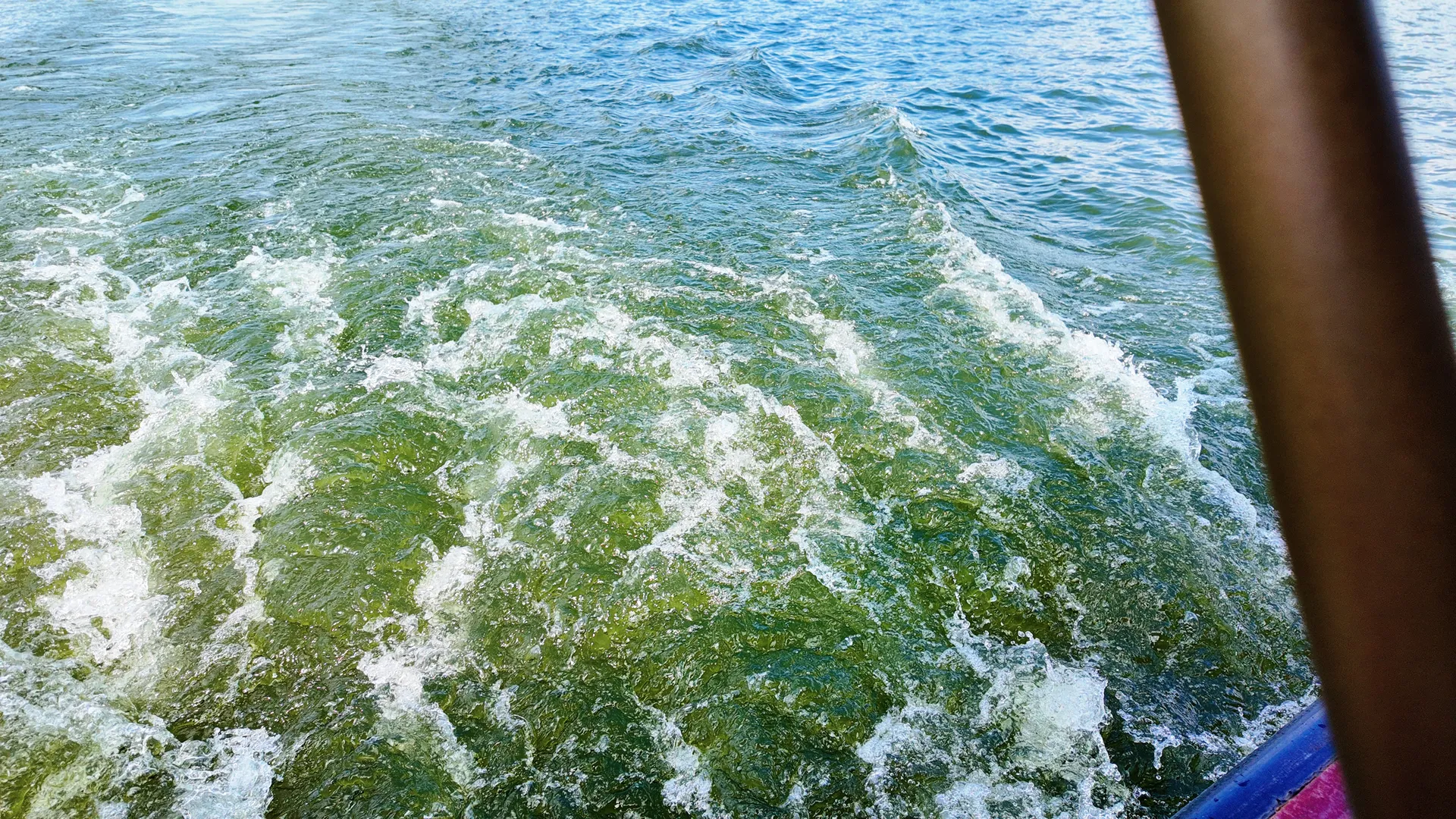 西湖游船尾流翻涌的碧绿湖水